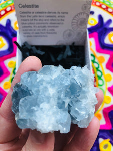 Celestite Cluster Rough Crystal gift boxed