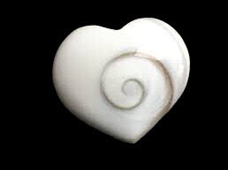 Shiva Shell Heart