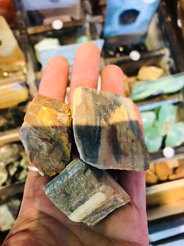 Rough Petrified Wood