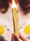 Palo Santo stick